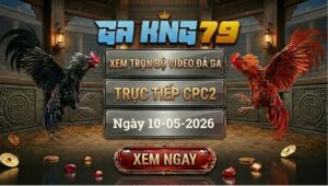 Xem Full Clip Đá Gà Bồ CPC2 Ngày 10/05/2026