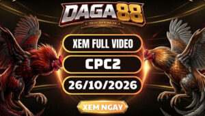 Video Đá Gà CPC2 Ngày 26/10/2026 Trên DAGA88